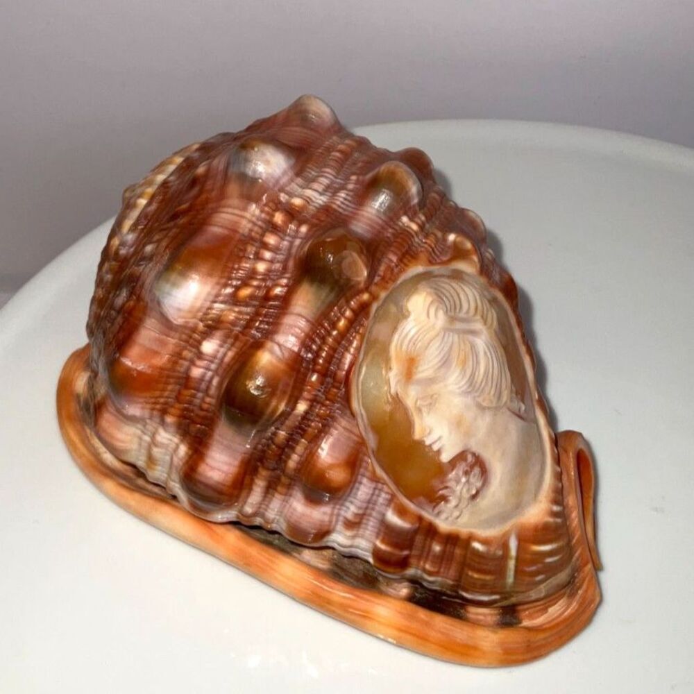 Vintage stunning hand carved cameo conch shell Italy must see - Picture 2 of 5